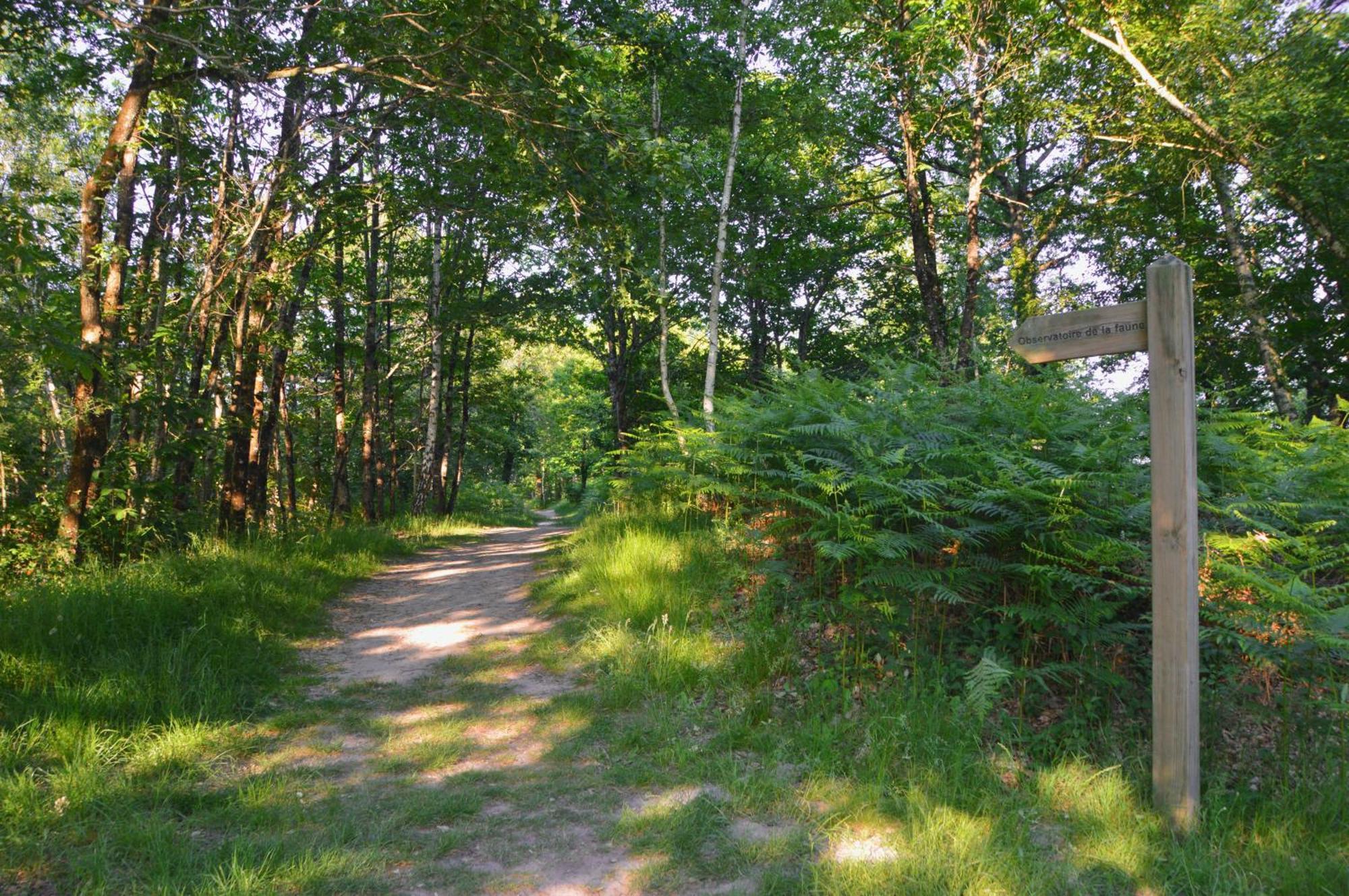 Gite De Charme En Sologne, Sejour En Famille, Jardin, Riviere, Jeux, Nature & Detente โอบิญี-ซูร์-แนร์ ภายนอก รูปภาพ